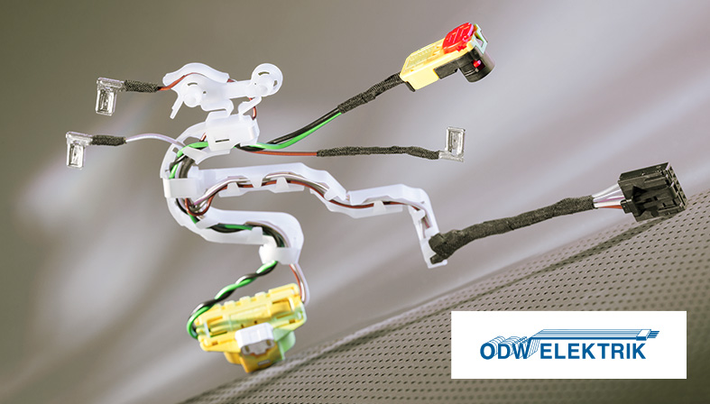 Interflex Referenz ODW Eletronik 